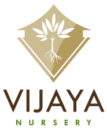 Vijaya Nursery
